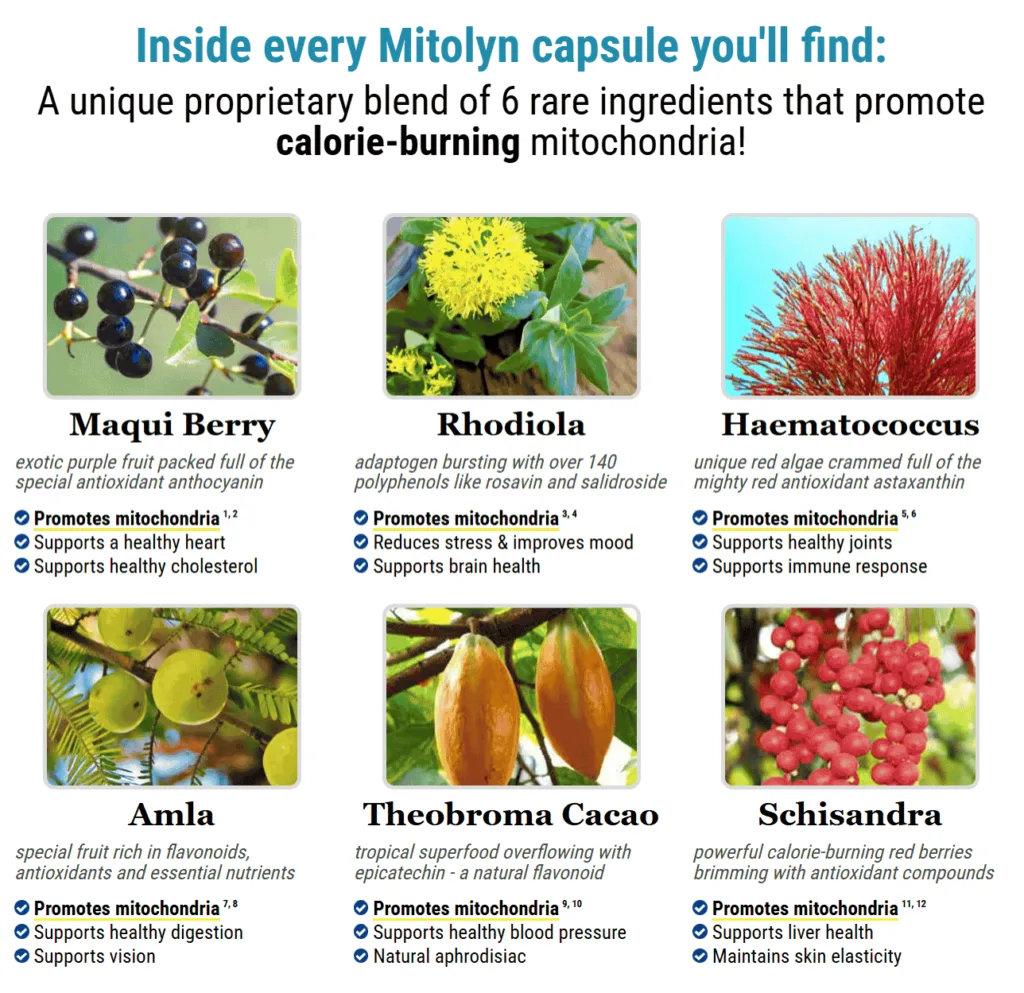 Mitolyn Supplement