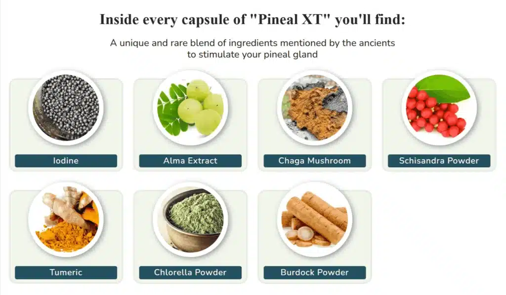 Pineal XT Reviews